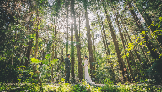 フォト婚 イメージ05