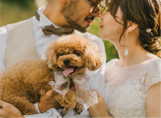 フォト婚 イメージ15