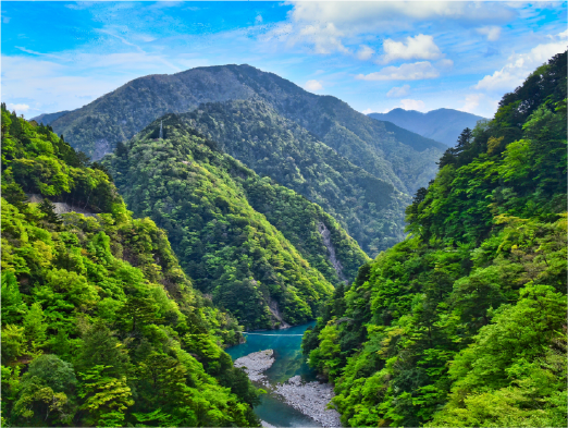 フォト婚 イメージ05