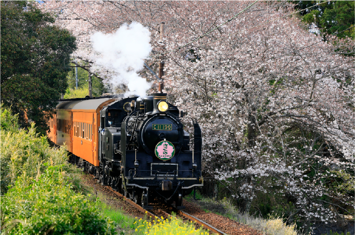 フォト婚 イメージ06