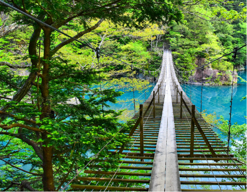 フォト婚 イメージ08